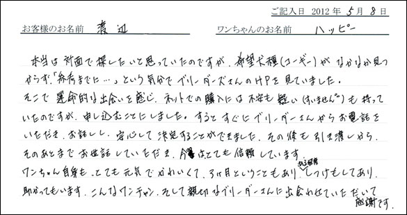 シェットランドシープドッグお客様の声