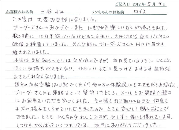 シェットランドシープドッグお客様の声