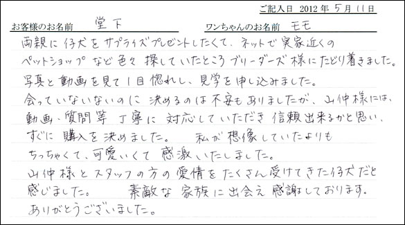 シェットランドシープドッグお客様の声