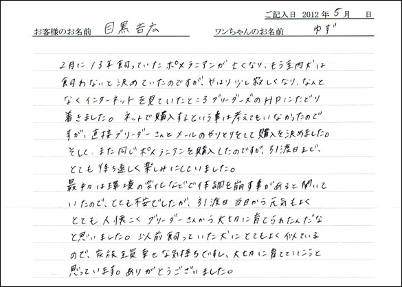 シェットランドシープドッグお客様の声