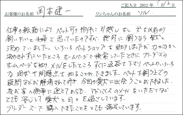 シェットランドシープドッグお客様の声