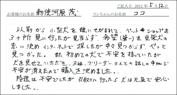 シェットランドシープドッグお客様の声