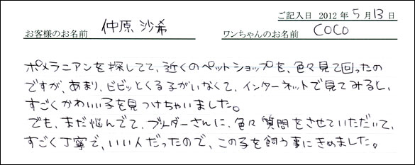 シェットランドシープドッグお客様の声