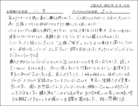 シェットランドシープドッグお客様の声