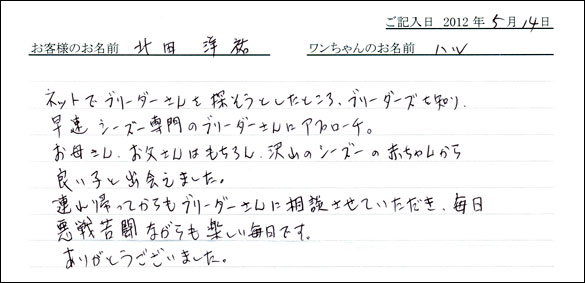シェットランドシープドッグお客様の声