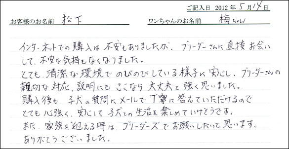 シェットランドシープドッグお客様の声