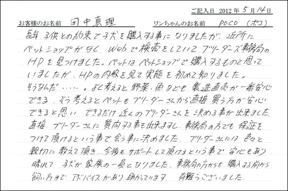 シェットランドシープドッグお客様の声