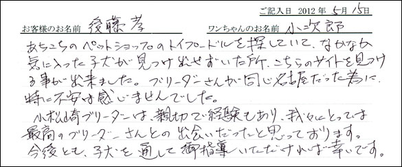 シェットランドシープドッグお客様の声