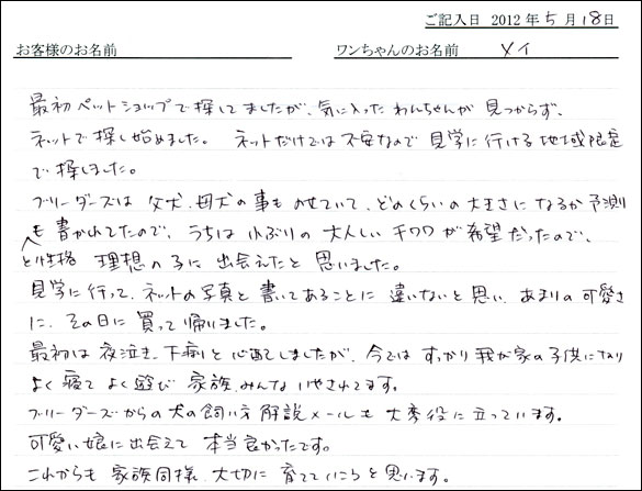 シェットランドシープドッグお客様の声