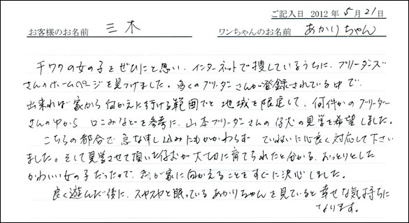 シェットランドシープドッグお客様の声