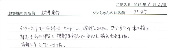 シェットランドシープドッグお客様の声