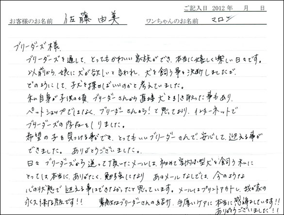 シェットランドシープドッグお客様の声