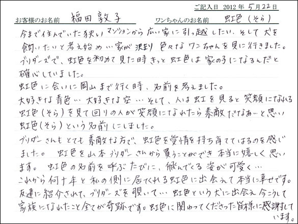シェットランドシープドッグお客様の声
