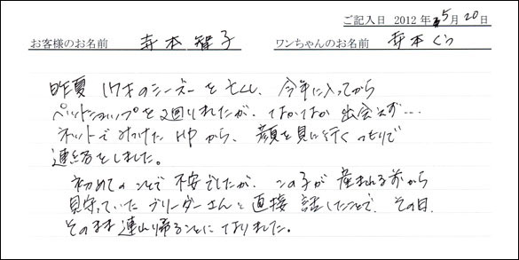 シェットランドシープドッグお客様の声