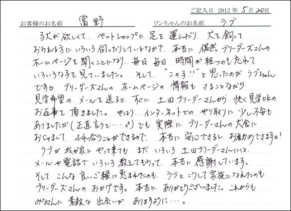 シェットランドシープドッグお客様の声