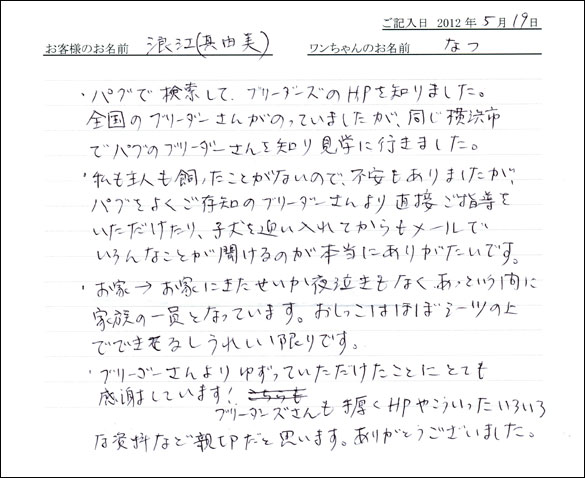 シェットランドシープドッグお客様の声