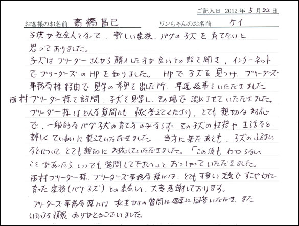 シェットランドシープドッグお客様の声