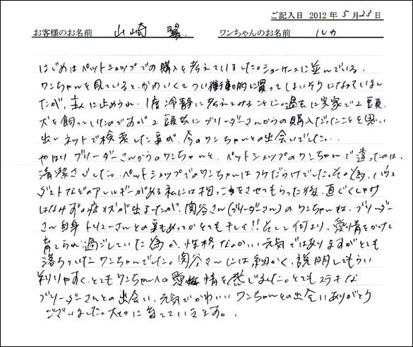 シェットランドシープドッグお客様の声