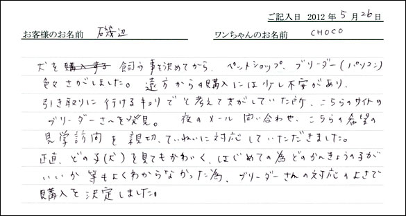 シェットランドシープドッグお客様の声