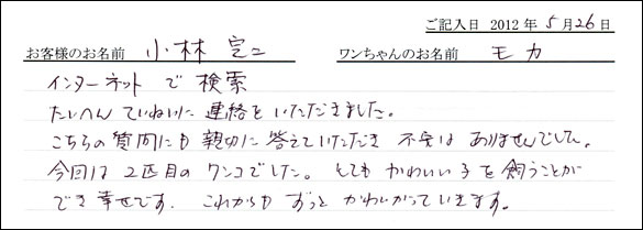 シェットランドシープドッグお客様の声