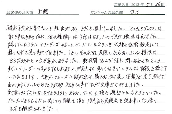 シェットランドシープドッグお客様の声