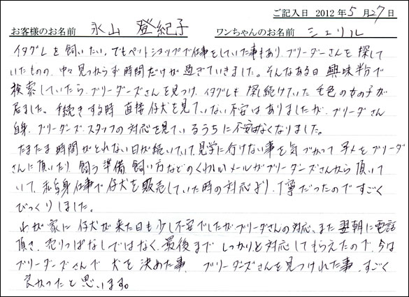 シェットランドシープドッグお客様の声