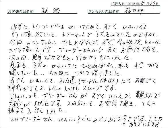 シェットランドシープドッグお客様の声