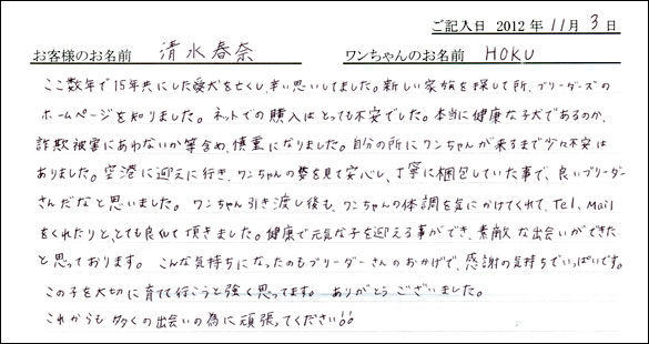 子犬お客様の声