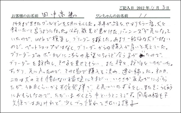 子犬お客様の声