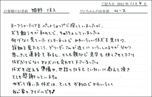 子犬お客様の声