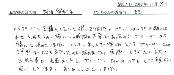 子犬お客様の声