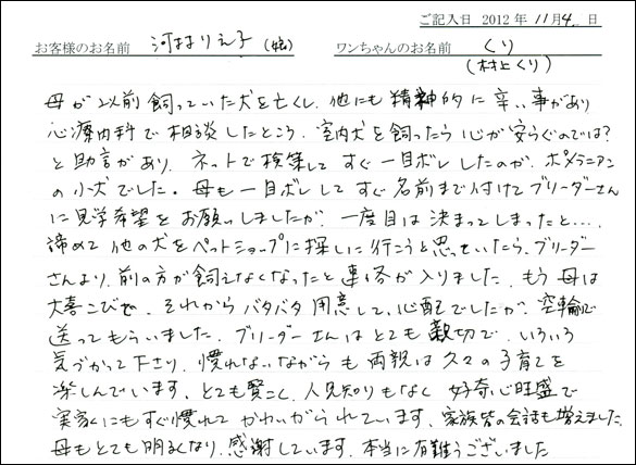 子犬お客様の声