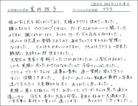 子犬お客様の声