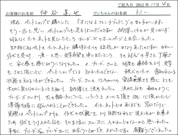 子犬お客様の声