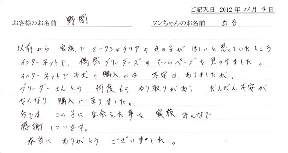 子犬お客様の声