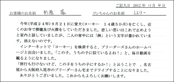 子犬お客様の声