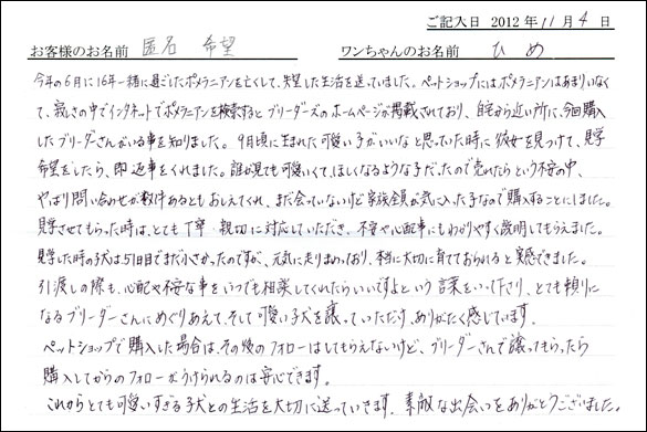 子犬お客様の声