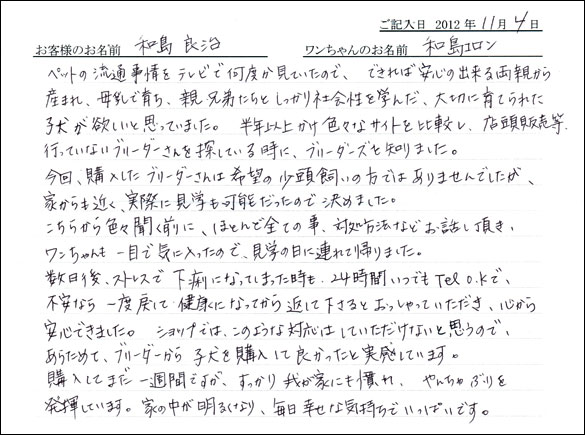 子犬お客様の声