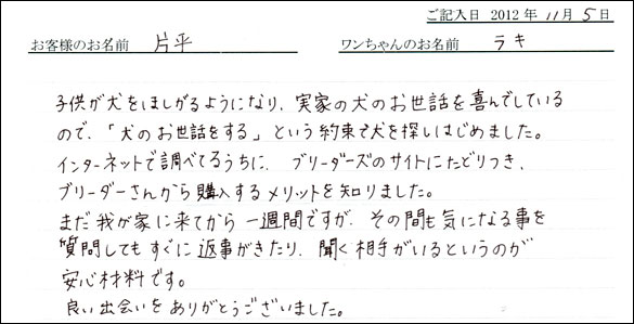 子犬お客様の声