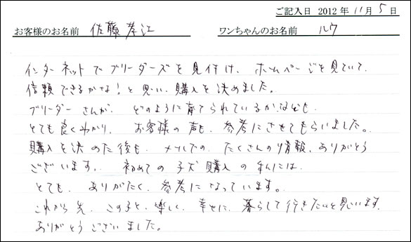 子犬お客様の声