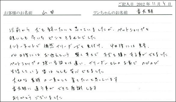 子犬お客様の声