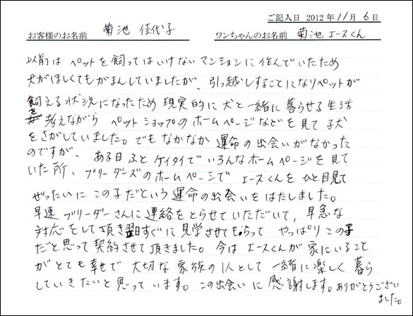 子犬お客様の声