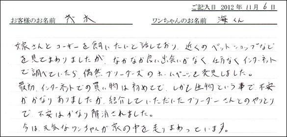 子犬お客様の声
