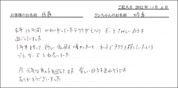 子犬お客様の声