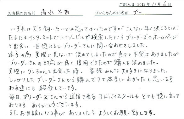 子犬お客様の声