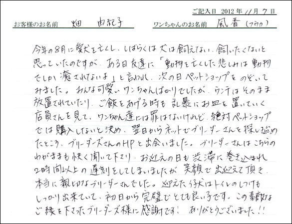 子犬お客様の声