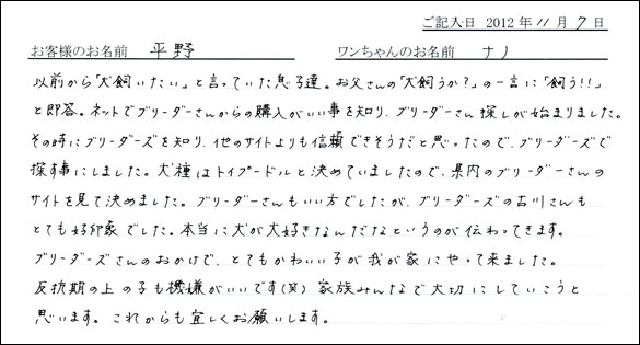 子犬お客様の声