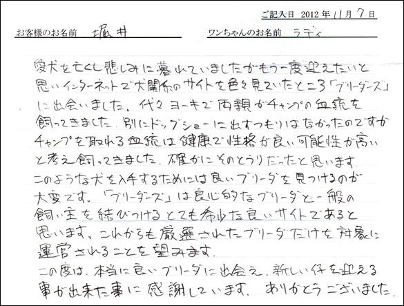 子犬お客様の声