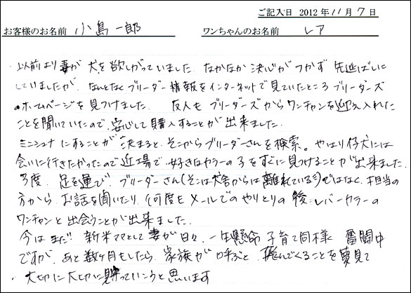 子犬お客様の声