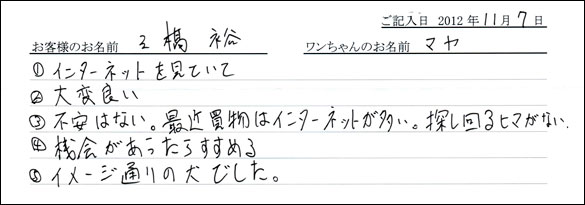 子犬お客様の声
